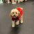 Holiday Pawty
