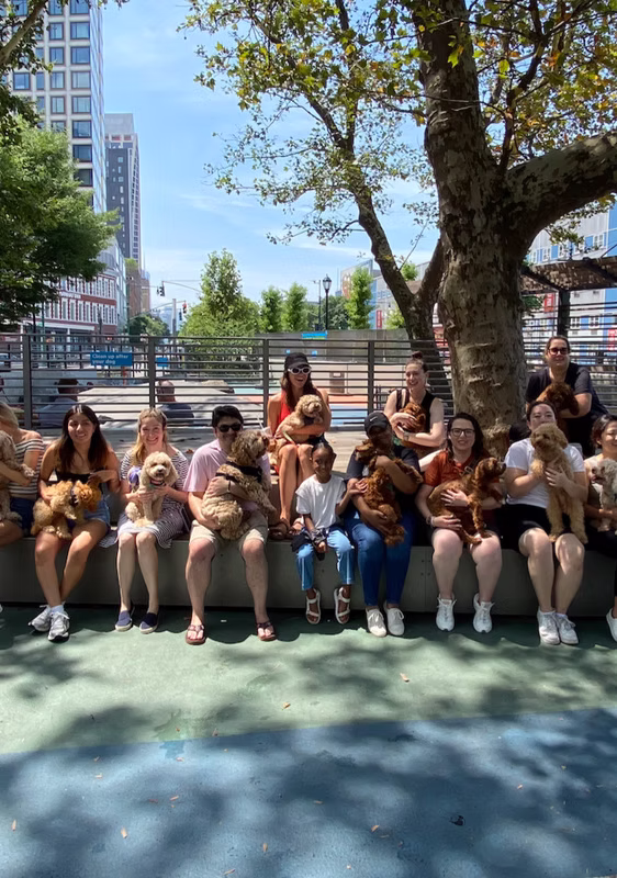 Join the Pack