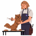 NewGroomer